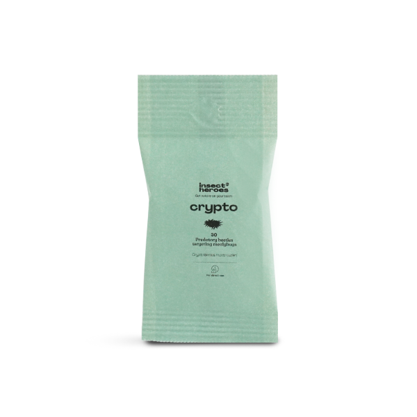Crypto+Insect+Heroes.png